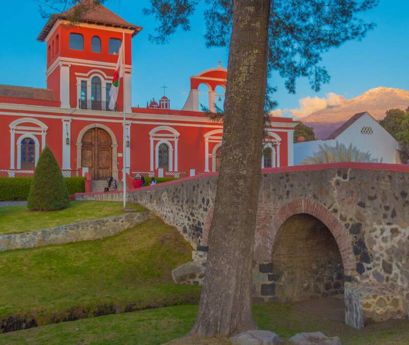 Hacienda Panoaya: Bosque de los árboles navideños