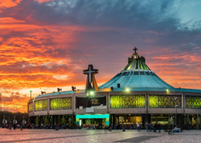 Acuario Michin y Basílica de Guadalupe