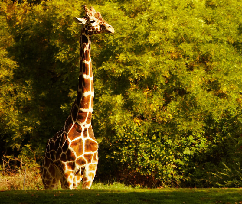 Bioparque Estrella: Pura diversión!