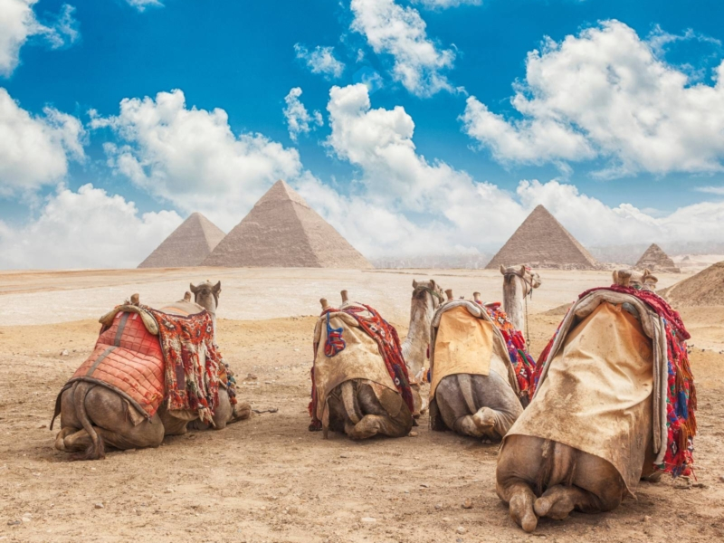 Viaje a Jordania y Egipto