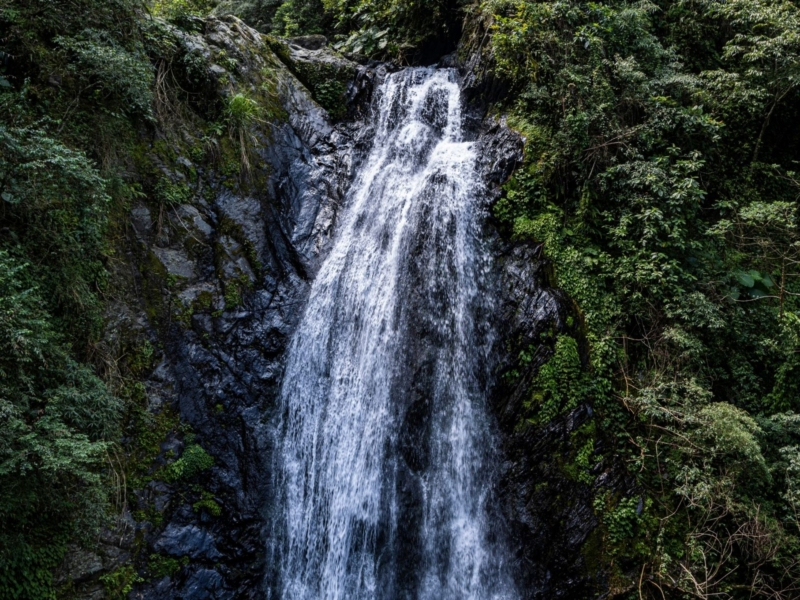 Honey y Cascadas Paraíso
